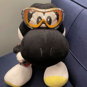 Meet your Posher, Kitty